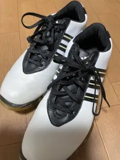 Item thumbnail for item ee3ee80a-6e25-47af-a0e2-9ac5c5314c22