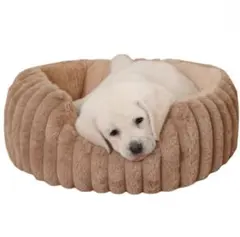 Item thumbnail for item af7686aa-281e-4851-9c59-2ae69865e9df