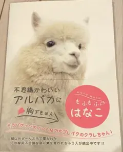 Item thumbnail for item f205eaca-6f8d-45cc-8af2-a69741b7b365