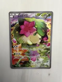 伝説キラコレクション