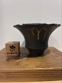 ま*よ様 みやび鉢 コモドライ 検エイル コミフォラ モンストローサ