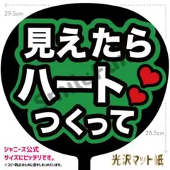 KX-0845 ファンサうちわ コンサートうちわ 文字うちわ 名前文字