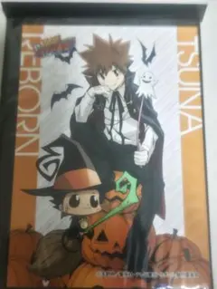 家庭教師ヒットマンREBORN 沢田綱吉 ブロマイド ハロウィン