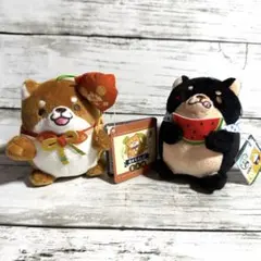 新品 忠犬もちしば ぬいぐるみ 2種セット マスコット
