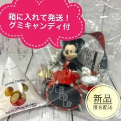 ディズニー　ビッグバンドビート　ミニスナックケース　スーベニア　グミキャンディ