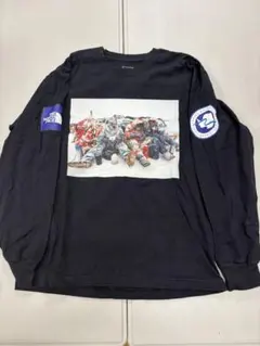 THE NORTH FACE ノースフェイス　アンタークティカ　ロンT