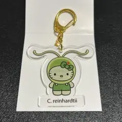 大阪万博　日本館　藻キティ　コナミドリムシ　アクリルキーホルダー　アクキー　限定