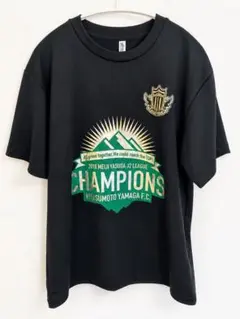 松本山雅FC 2018 J2優勝記念 Tシャツ Lサイズ - メルカリ