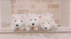 kiyo様 リクエスト 2点 まとめ商品