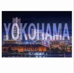 新品⭐︎YOKOHAMA フーカルーア 15色アイシャドウパレットのサムネイル