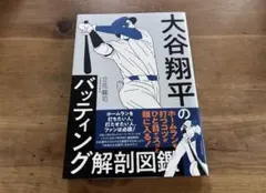 大谷翔平のバッティング解剖図鑑 立花龍司