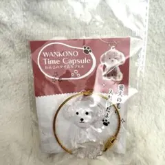 わんこのタイムカプセル むぎ プードル カプセルトイ ガチャ　即日匿名配送