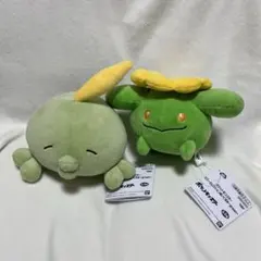 ポケモン カラーセレクションぬいぐるみ green ポポッコ ゴクリン
