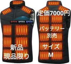 Item thumbnail for item 83f6912c-169b-4fd7-958d-cbe1e7f3147e