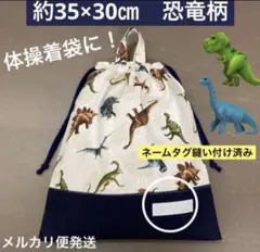 巾着693番　約35×30㎝　全長41㎝　体操着袋　お着替え入★恐竜柄　切替あり