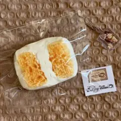 Item thumbnail for item 809e5dcd-658f-422a-ad91-bc0f33aa5be5