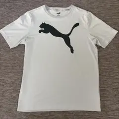 PUMA グレー　 Tシャツ Mサイズ　プラティ