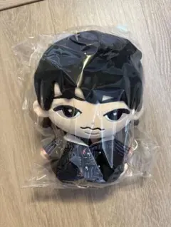 【新品、未開封】SnowMan 深澤辰哉 すのチル BIGぬいぐるみ