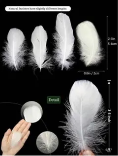 Item thumbnail for item 92e1186c-4b61-45de-bbd1-0cbdde2c315f