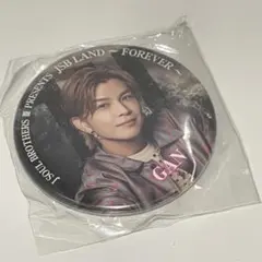岩田剛典 GAN 缶バッジ2個セット ガチャ 三代目 プレミアム - メルカリ