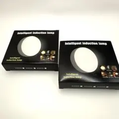 2個セット センサーライト 人感センサー USB充電式 LED 自動点灯・消灯