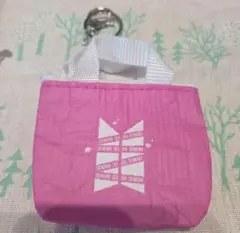 BTS JIN コインケースキーホルダー