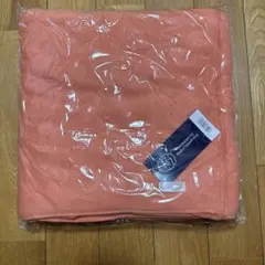 Item thumbnail for item 1672e100-26ab-4f26-a0c6-af2abc73ac0f