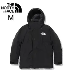 NORTH FACE Mountain Down Jacket ND92237