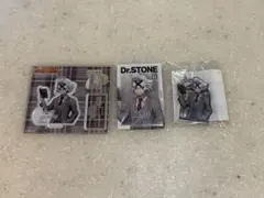 Dr.STONE 秋の読書 ゼノ 缶バッジ アクリルキーホルダー