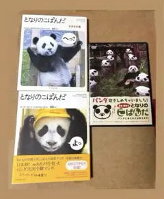 Item thumbnail for item 308f73ef-722e-4586-bfed-b96f84e49763