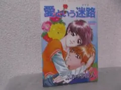 【送料無料】MG－110　愛という迷路　（ふみづき綾人）