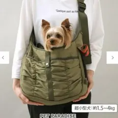 Item thumbnail for item 65eb7f2b-65f0-4695-94f0-32f4d2f2c240