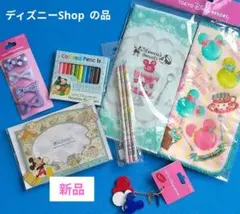 お値下げ☆新品☆ディズニーリゾートの品☆グッズまとめて