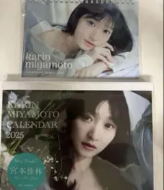 Item thumbnail for item 8d8a516b-89ad-4e30-8de5-18ab02a76328