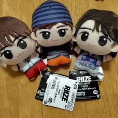 2026年最新】RIIZE ウォンビン ぬいぐるみの人気アイテム - メルカリ