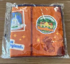 東京ディズニーリゾート　バケーションパッケージ　バケパ　タオルセット　今治タオル