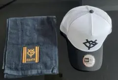 Item thumbnail for item 01defe09-f95f-4b21-8d05-c6cf28ffc692