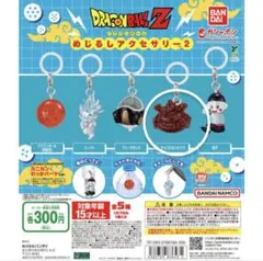 ドラゴンボールZ めじるしアクセサリー2