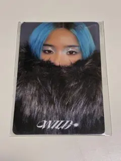 KATSEYE WILD フォトマグネット ソフィア