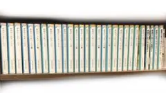 Item thumbnail for item 01343f50-a915-497b-ba96-9923110c5d82