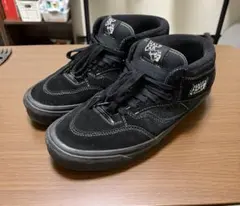 ハーフキャブ　アナハイム　クロコ