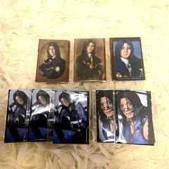 ミュージカル刀剣乱舞 坂龍飛騰 ランダムフィルム ランダムふぉとカード 南海