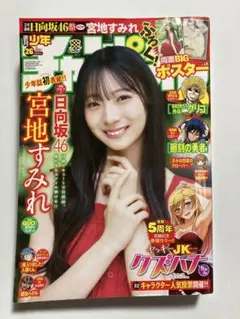 Item thumbnail for item 1e466137-c3f7-4b09-b3c3-c1ee1063b36d