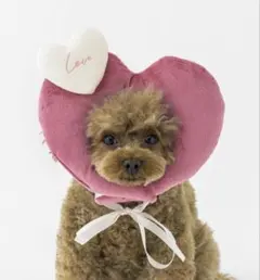 Item thumbnail for item 8f7fab43-6e07-484b-8be8-344788bfd2a5