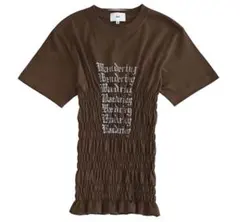 roku Ruroブラウン シャーリング Tシャツ　即完売品のサムネイル