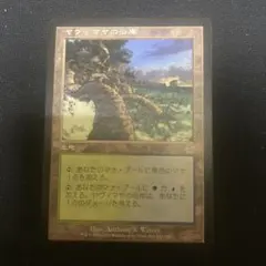 MTG ヤヴィマヤのうろ穴 2枚 英1 、日1 - メルカリ
