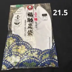 Item thumbnail for item f2e38803-acb9-4fe7-b7f8-e2cac589ad68