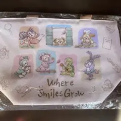 ディズニーシー ダッフィー＆フレンズ スーベニア ランチトートバッグ