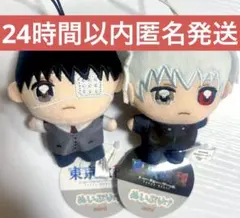 東京喰種 金木研　トーキョーグール ぬいぷりけ　　mini 2種セット　タグ付き