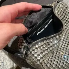 Alexander Wang Heiressのサムネイル